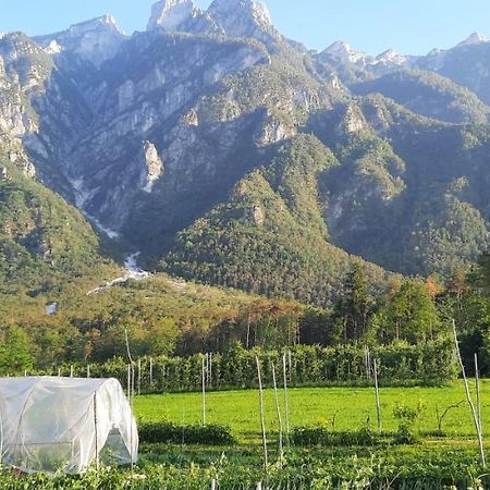B&B La Casa In Campagna Ospedaletto  ภายนอก รูปภาพ