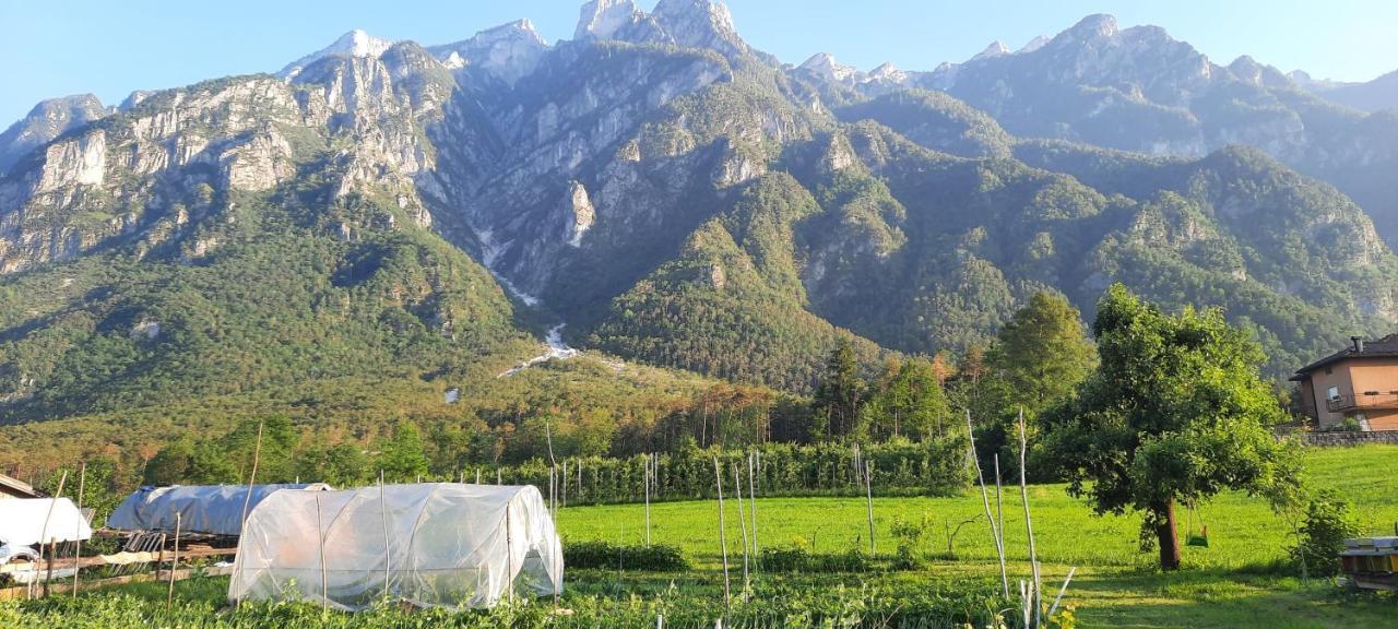 B&B La Casa In Campagna Ospedaletto  ภายนอก รูปภาพ